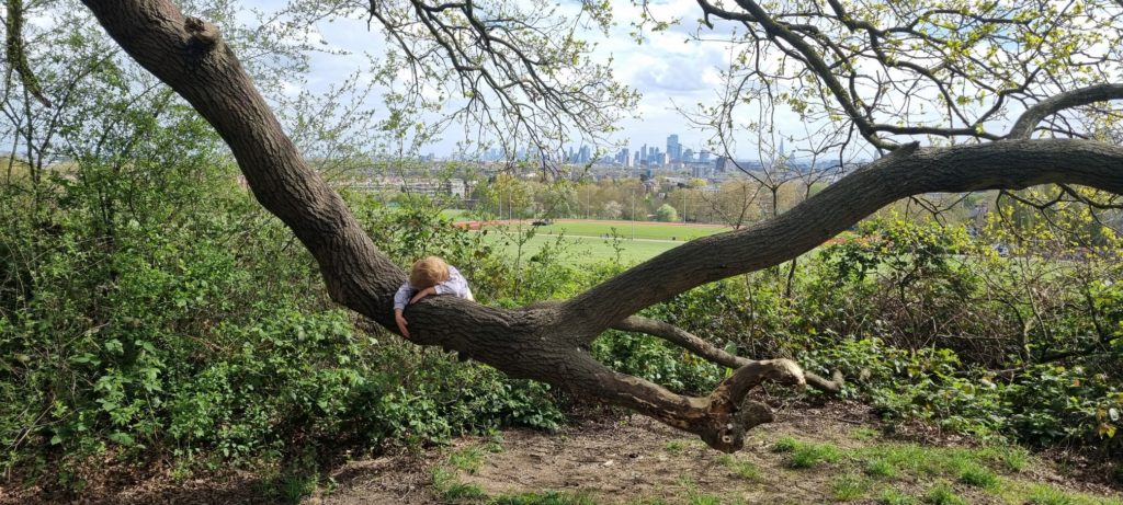Photo of a young white child with strawberry blond hair hanging, sloth style, head facing down, off a huge tree branch, feet dangling in the air. The skyline of London can be seen in the background.